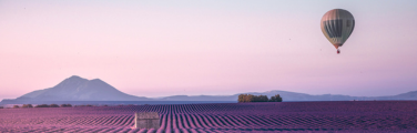 Get travel insurance for your France trip before you see this view of the lavender fields in Provence.
