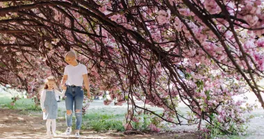 Mother and daughter holding hands under a cherry tree at a cherry blossom festival.