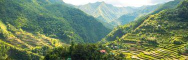Get travel insurance for Philippines trips to see rice terraces.