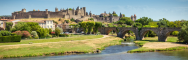 Get travel insurance for your France trip before you see this view of Carcasonne and Pont Vieux bridge.