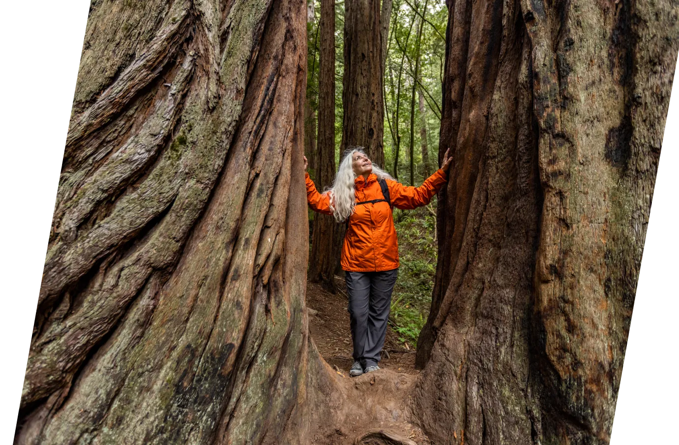 an elderly woman with white hair poses for a picture in-between redwood trees, insured with travel insurance for California