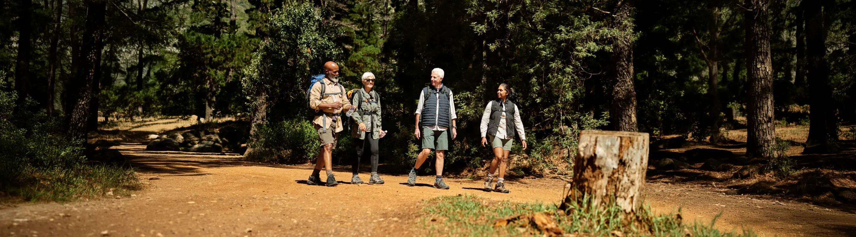 Four seniors hiking in the woods with travel insurance for Africa