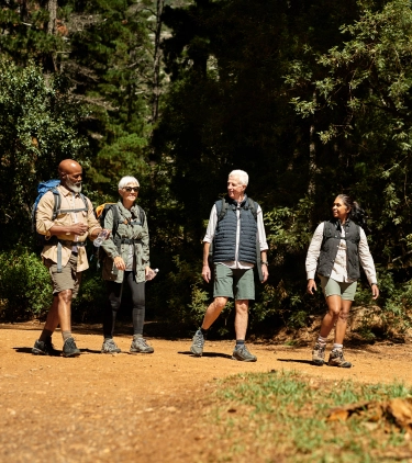 Four seniors hiking in the woods with travel insurance for Africa