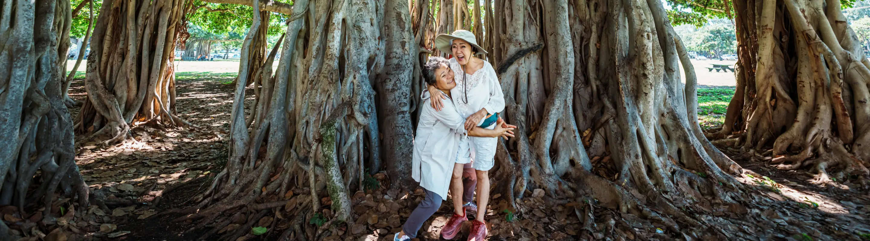 Two female senior friends with travel insurance for Hawaii, hugging and laughing at the base of a banyan tree
