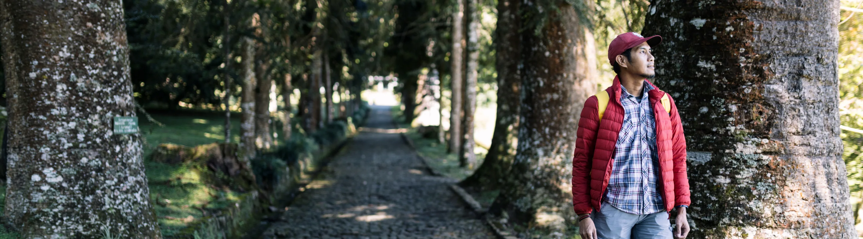 Man walking in a forest with travel insurance for Bali