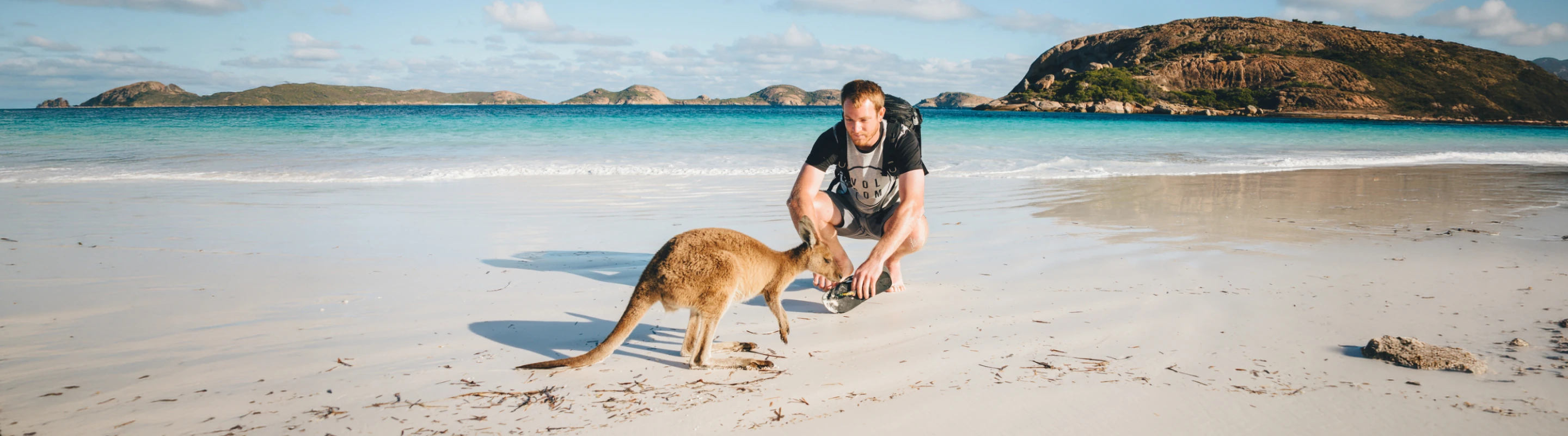a man with travel insurance for Australia, crouched down and observing a kangaroo on the beach 