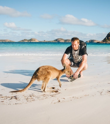 a man with travel insurance for Australia, crouched down and observing a kangaroo on the beach 
