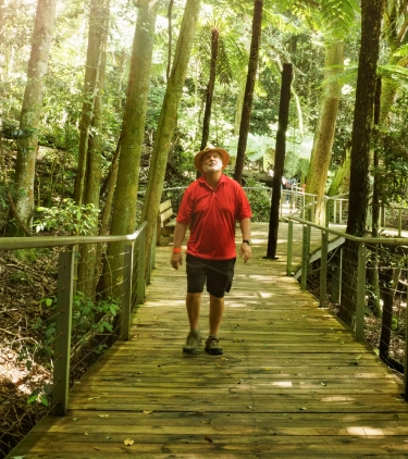 a man with travel insurance for Australia, walking through the rainforest on a boardwalk trail