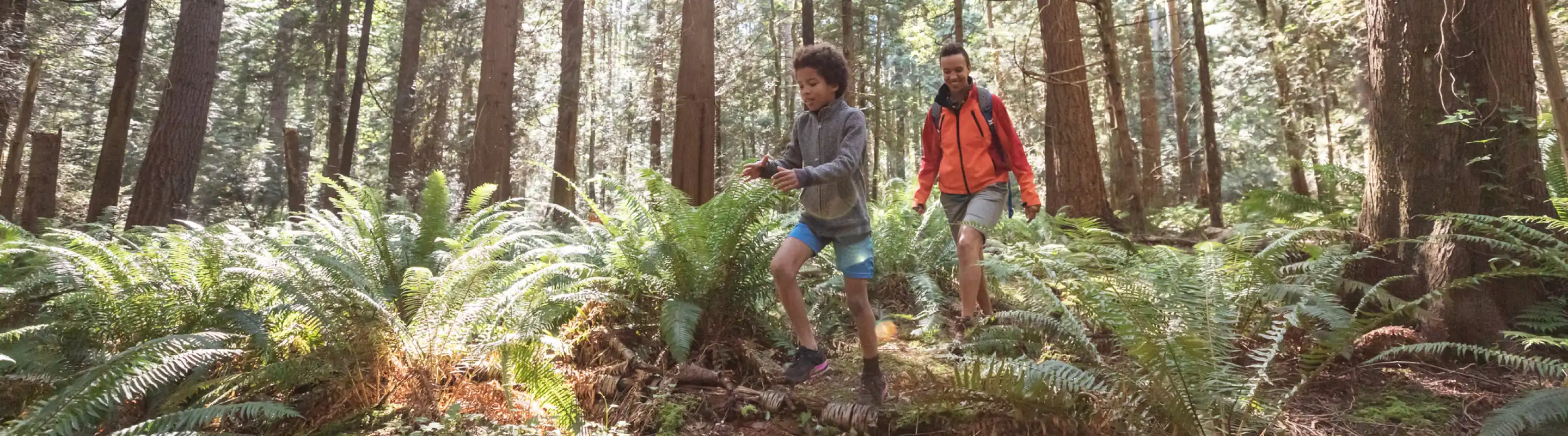 Mother with travel insurance for Canada hiking in the forest with her son