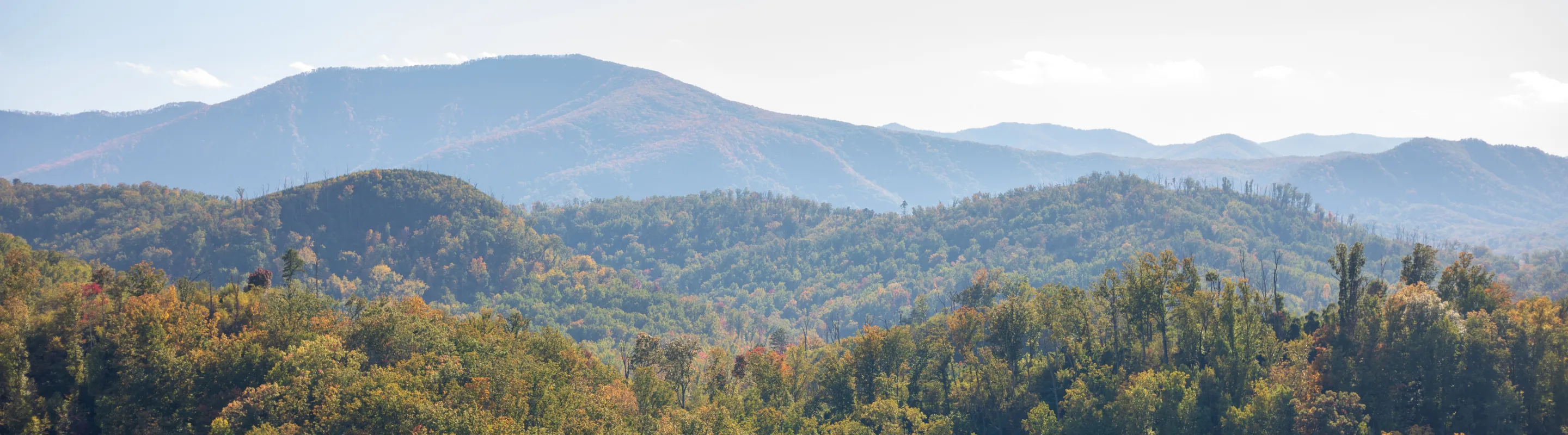 View of the mountains and foliage during fall, highlighting travel insurance for Tennessee