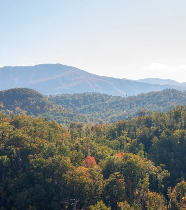 View of the mountains and foliage during fall, highlighting travel insurance for Tennessee