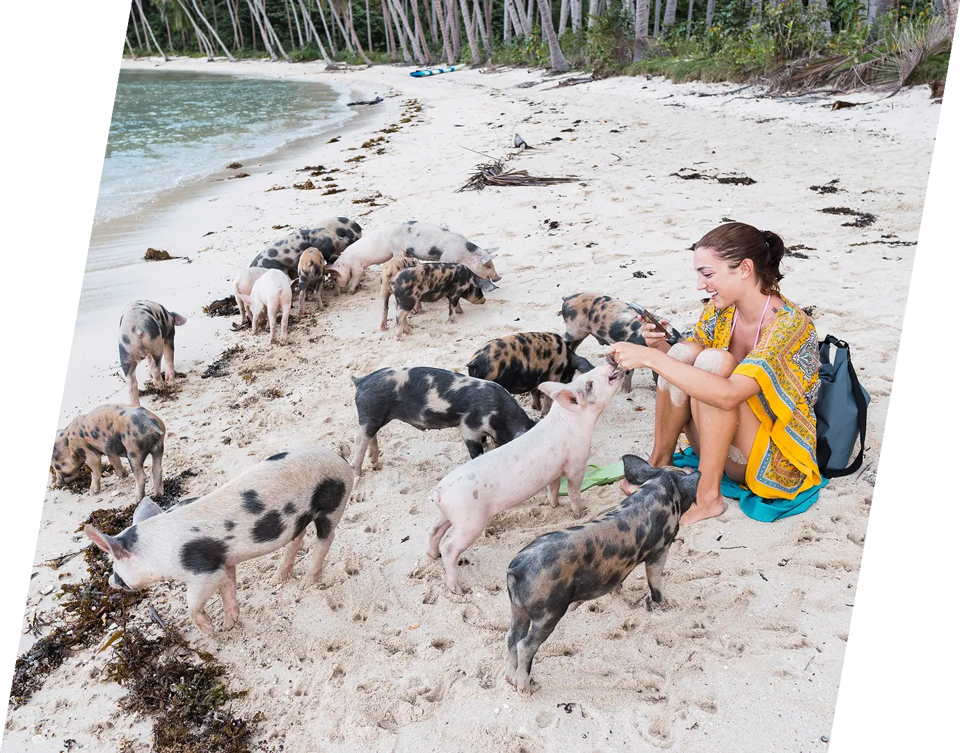 Edit your policy with ease