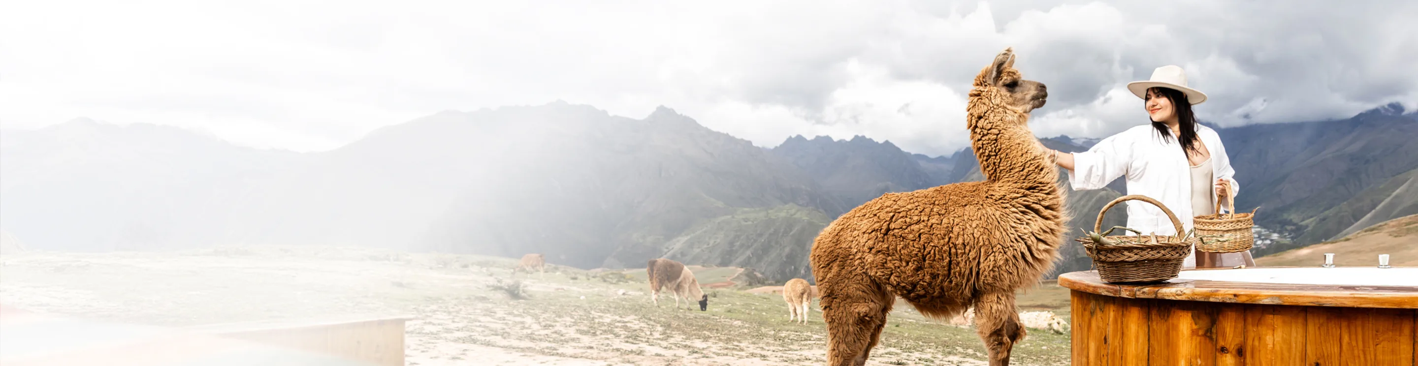 get-quote-background