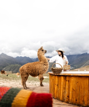 get-quote-background-mobile