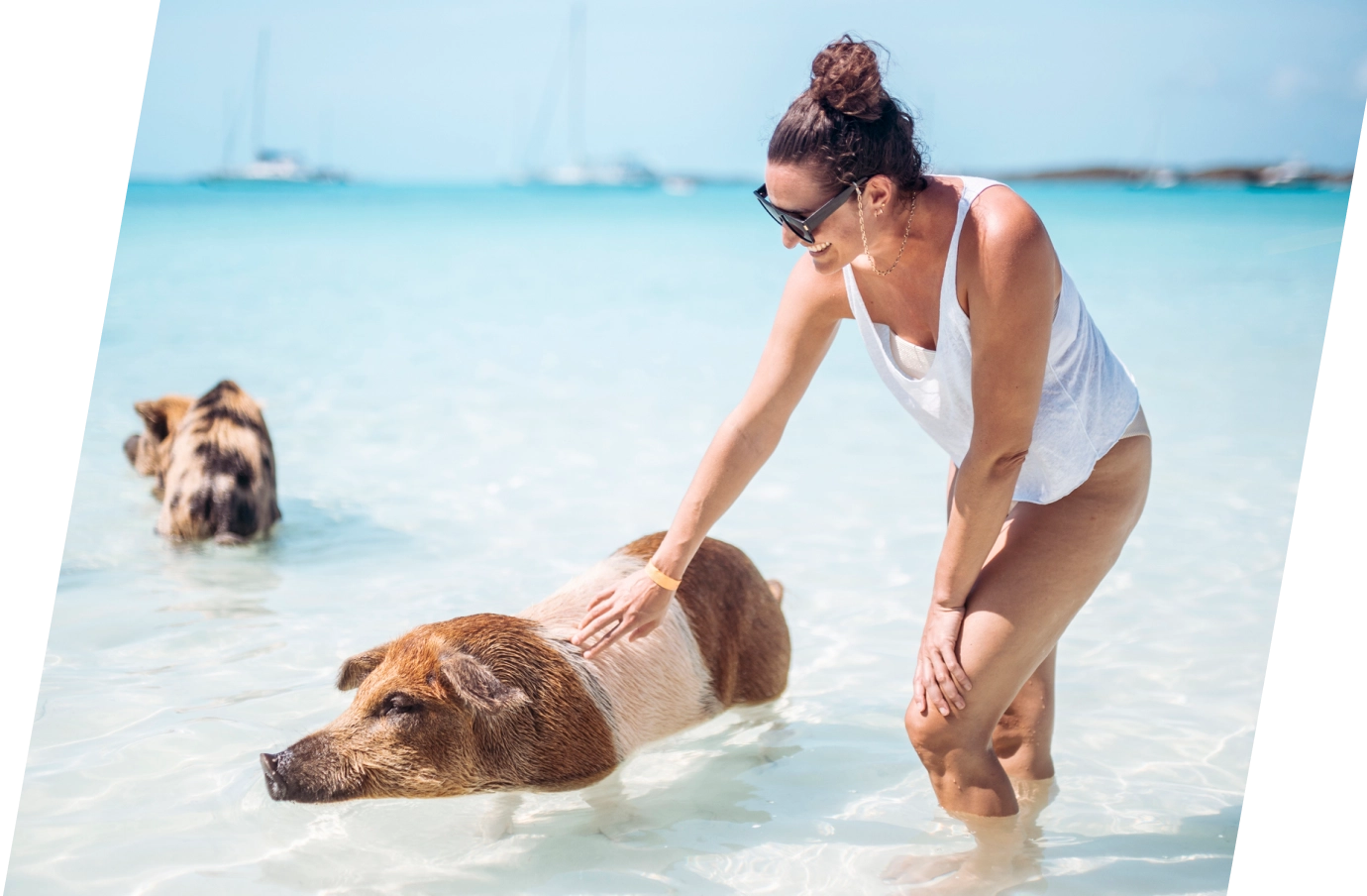 Young woman with travel insurance for the Bahamas petting pigs in the ocean in Exuma