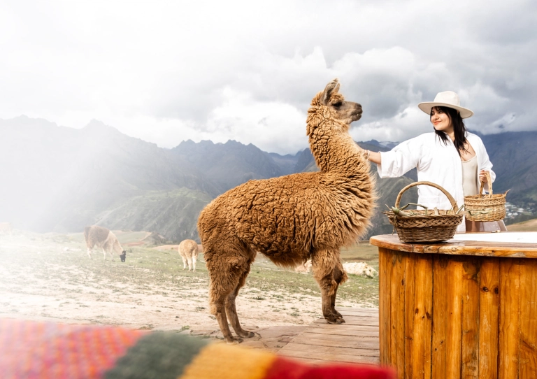 get-quote-background-tb