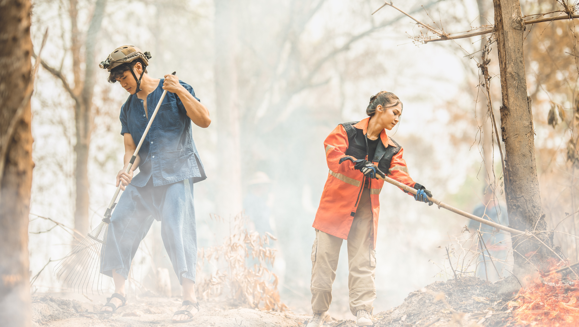 community volunteers help clear a burned forest abroad after learning about our wildfire safety tips