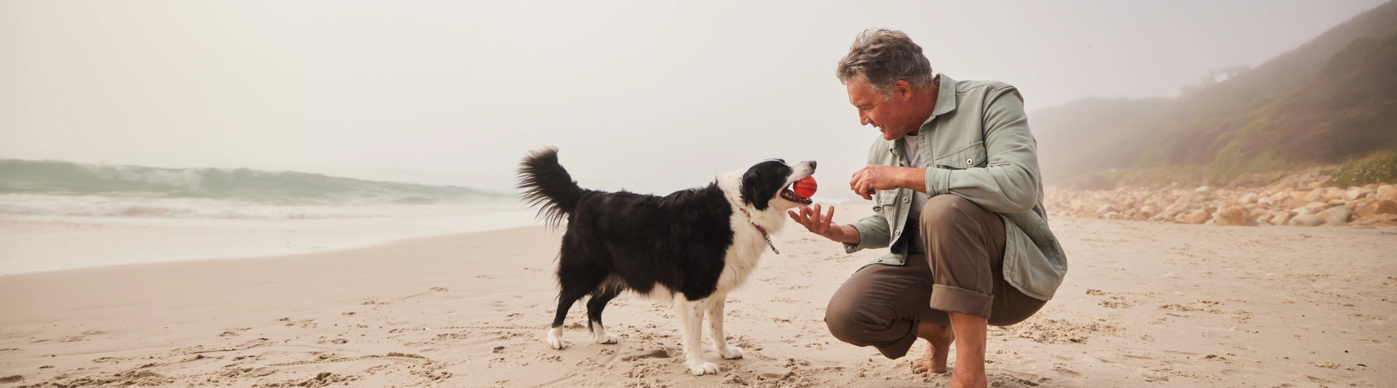 Man with pet travel insurance reaching for a red ball from his dog's mouth while playing fetch on the beach