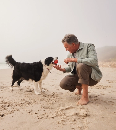 Man with pet travel insurance reaching for a red ball from his dog's mouth while playing fetch on the beach