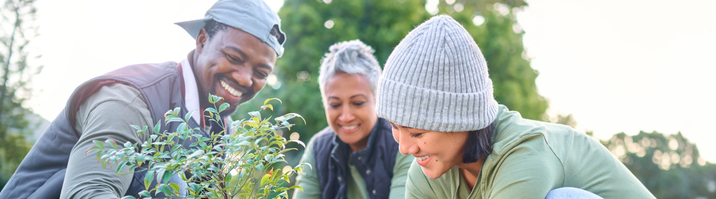 Three adults with volunteer travel insurance smiling and placing a plant in the ground