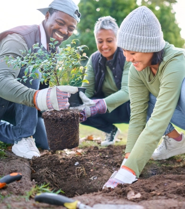 Three adults with volunteer travel insurance smiling and placing a plant in the ground