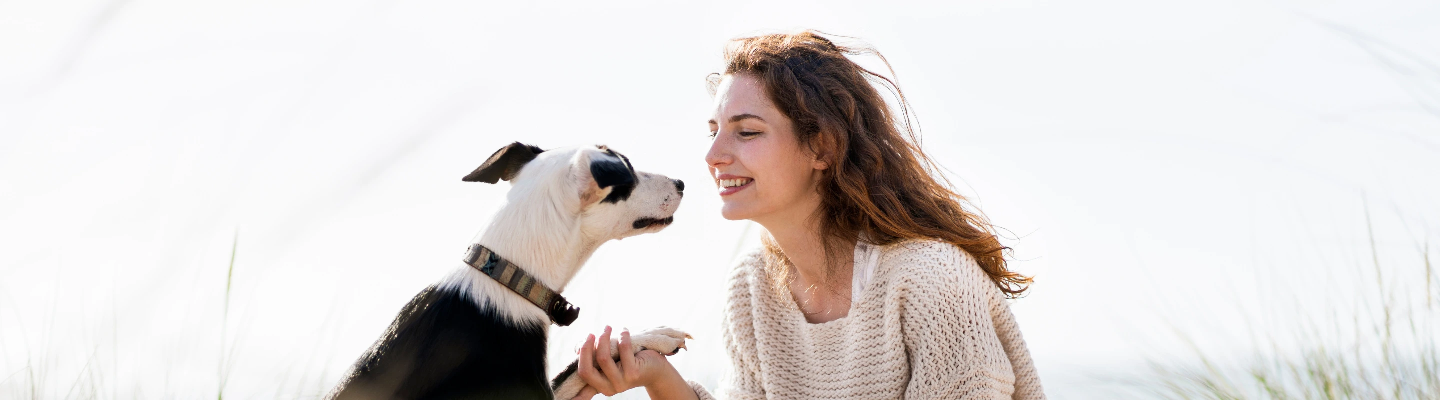 a woman with pet travel insurance looks at her dog on a sandy beach and holds his paw