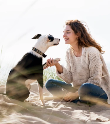 a woman with pet travel insurance looks at her dog on a sandy beach and holds his paw