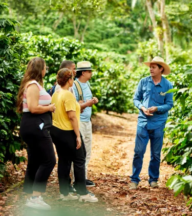 visitors with travel insurance for the Dominican Republic tour a coffee farm while a guide explains the growing process 