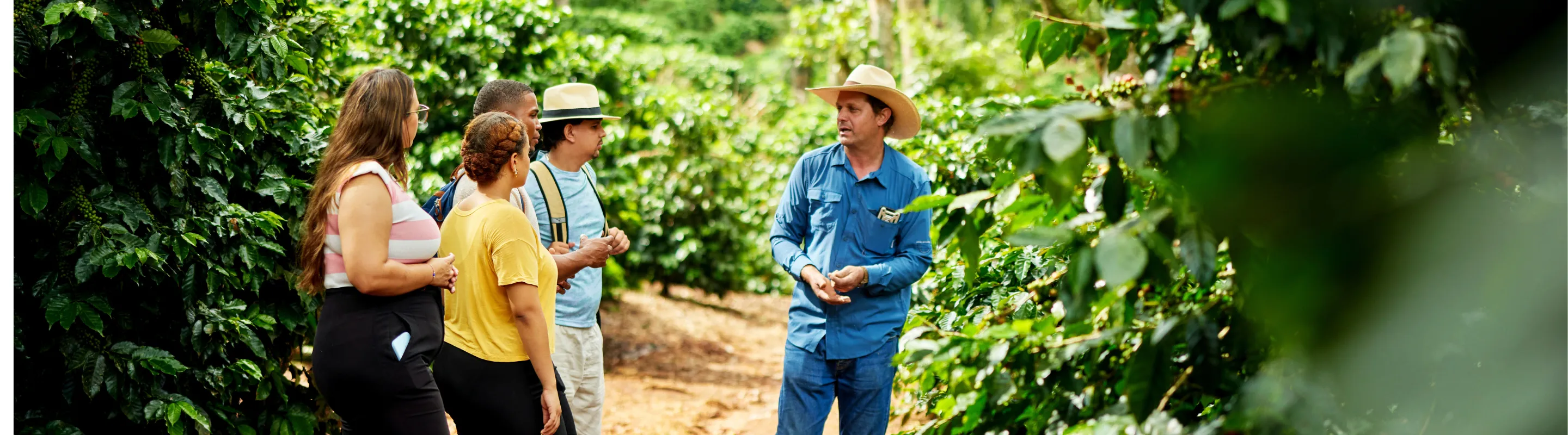 visitors with travel insurance for the Dominican Republic tour a coffee farm while a guide explains the growing process 