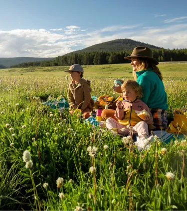 a mother and her two kids sit on a blanket beside a stream in a grassy meadow, insured with domestic travel insurance 