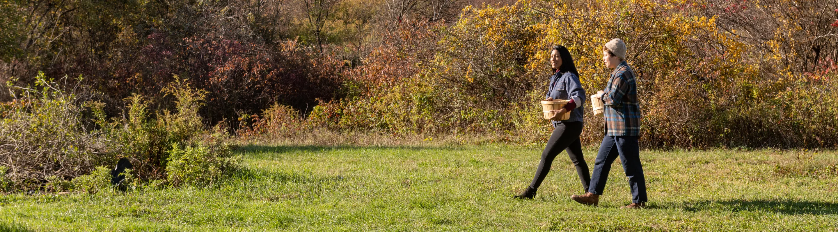 two friends with travel insurance for New York go apple picking in Upstate New York in Autumn