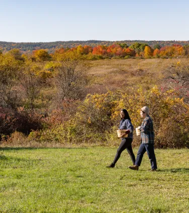 two friends with travel insurance for New York go apple picking in Upstate New York in Autumn