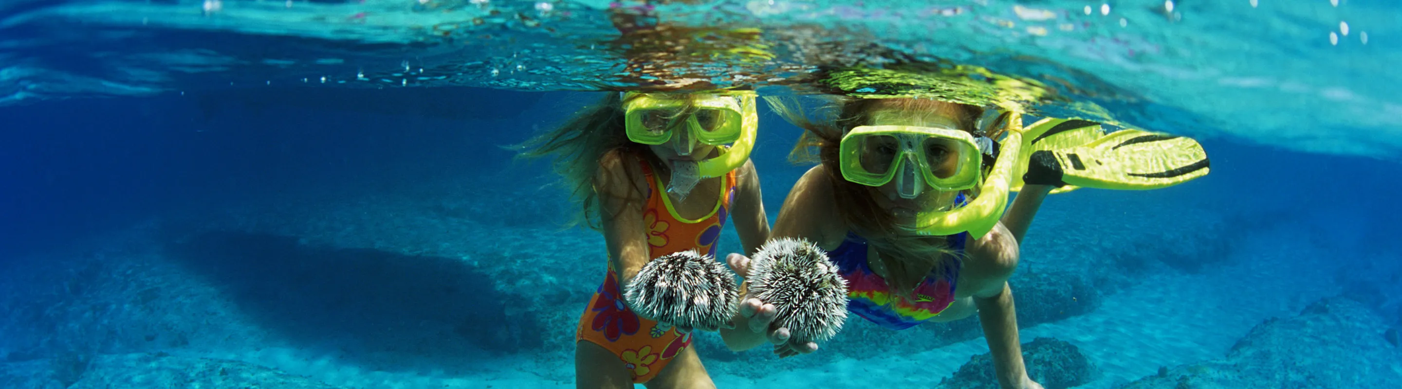 two children with travel insurance for the Bahamas snorkel in clear blue water while holding sea urchins