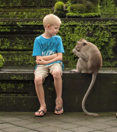 two young boys sit beside monkeys at a temple, insured with travel insurance for Bali