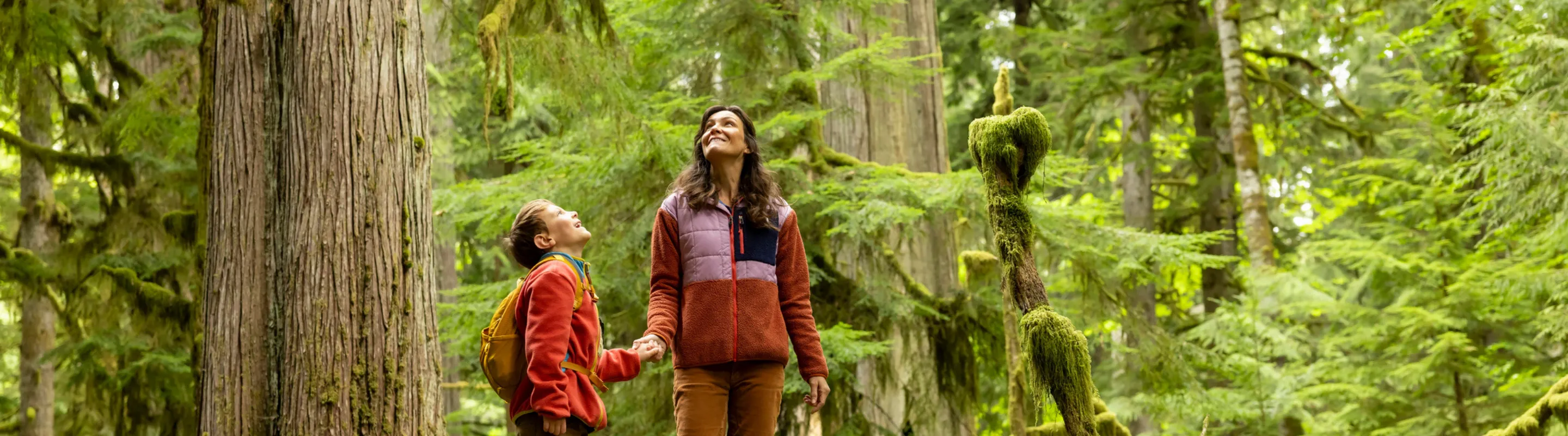 Mother with travel insurance plans holding her son's hand in a forest and looking up at the trees