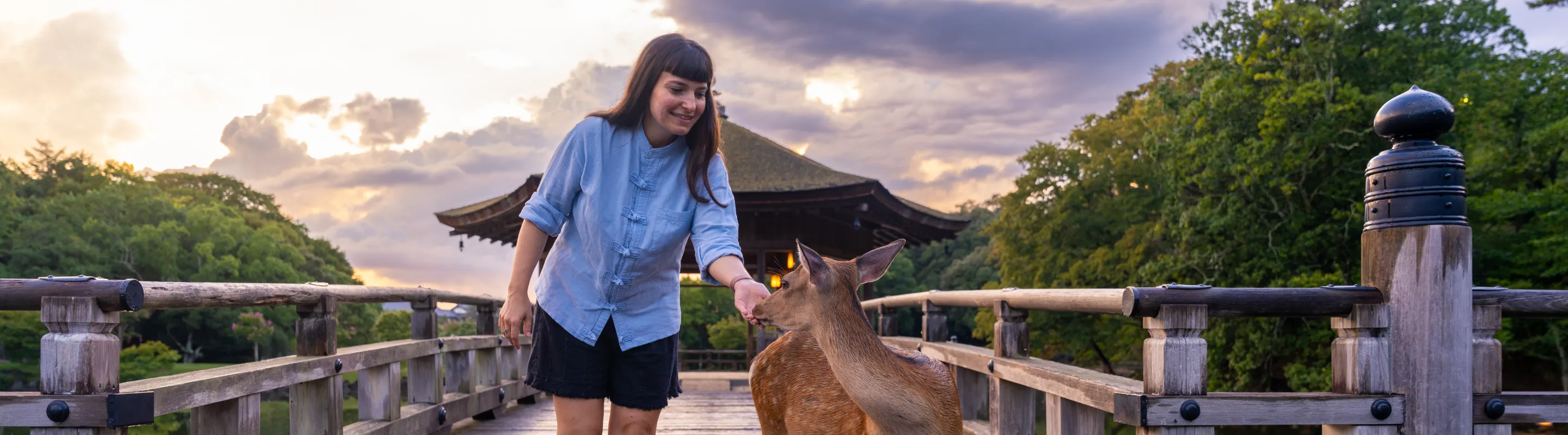 a young female traveler approaches a deer in Nara, Japan, at sunset, insured with travel insurance for Japan