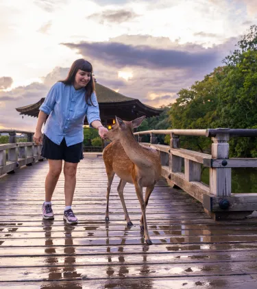 a young female traveler approaches a deer in Nara, Japan, at sunset, insured with travel insurance for Japan