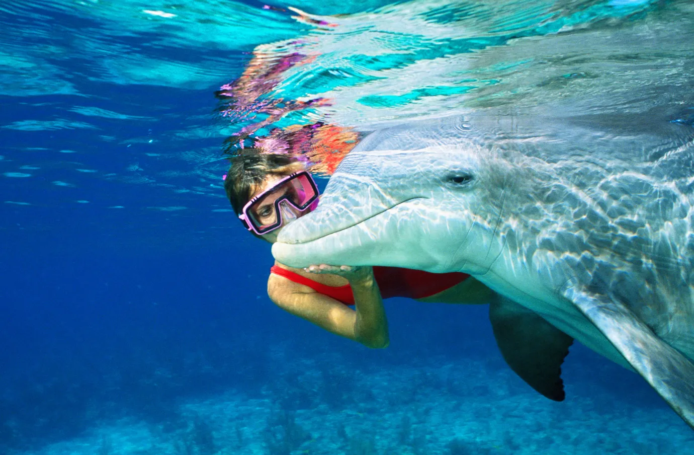 a woman with travel insurance for the Bahamas snorkels alongside a dolphin in clear tropical waters