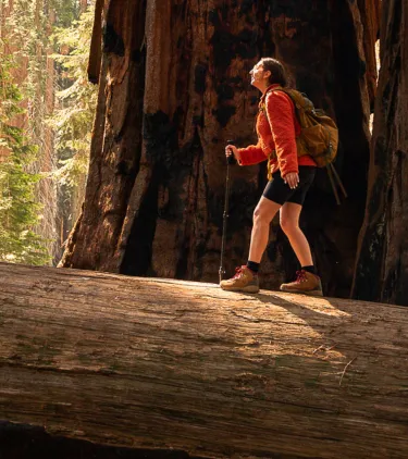 a woman wearing a red jacket hikes through a redwoods forest with travel insurance for California 