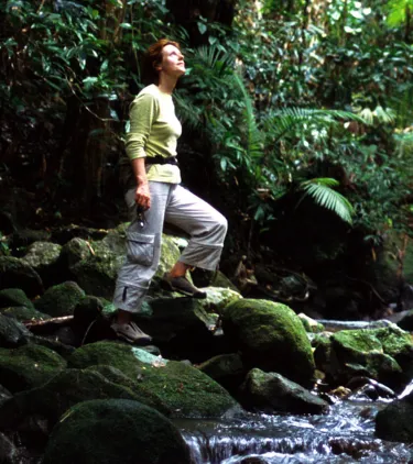 a woman in hiking gear hikes through a tropical rainforest in Queensland, insured with travel insurance for Australia 