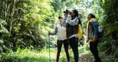 Three friends exploring a jungle