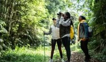 Three friends exploring a jungle