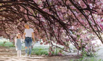 Mother and daughter holding hands under a cherry tree at a cherry blossom festival.
